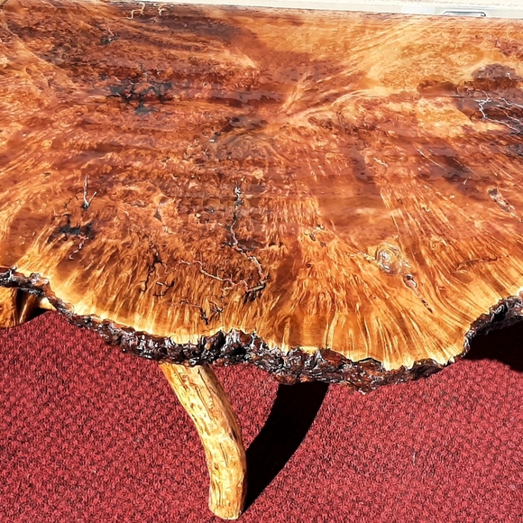 Meet your Posher, Calvin - Picture 7 of 8